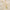 https://shineoss.oss-cn-hongkong.aliyuncs.com/wang/2023/06/14/8fd3565a-a811-4e16-9c03-b12aef5aa6e4.jpg